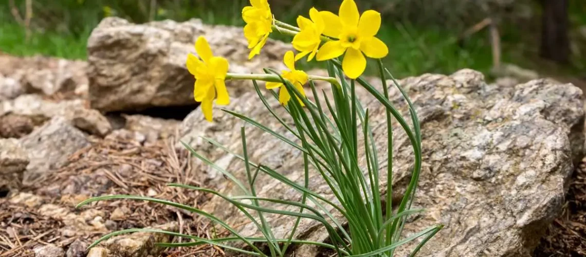 El peligro de la falta de atención