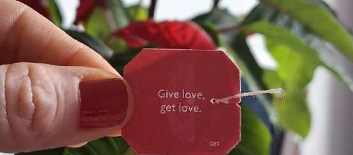 Get love Give Love Dar y recibir amor