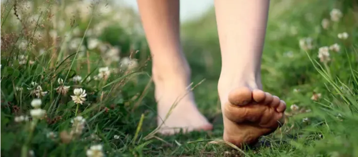 el cuerpo en terapia el cuerpo en terapia