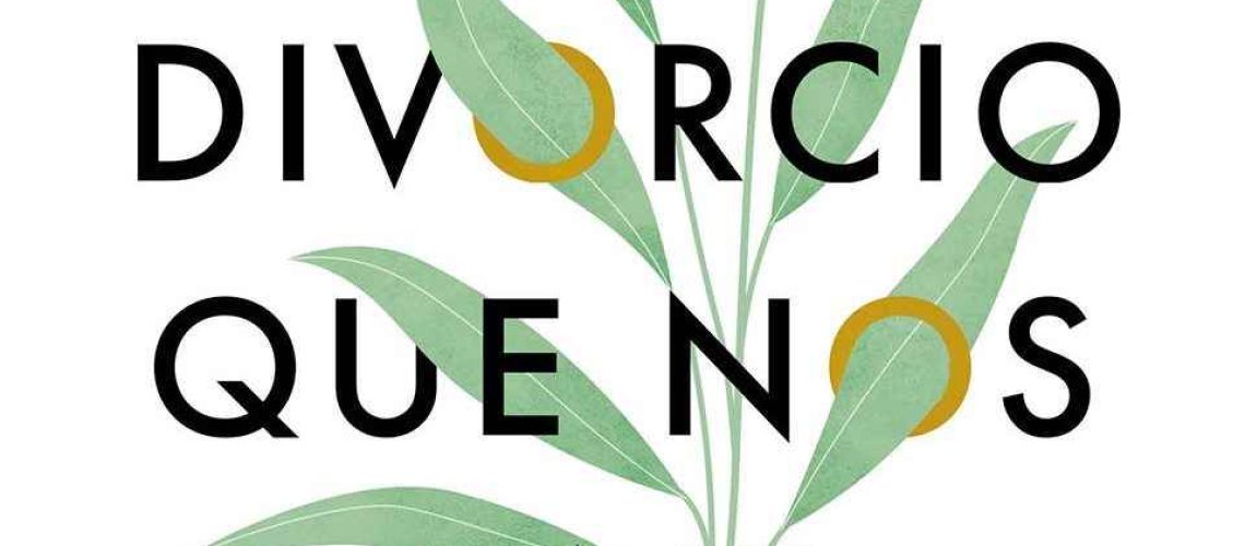 Portada del libro El divorcio que nos une